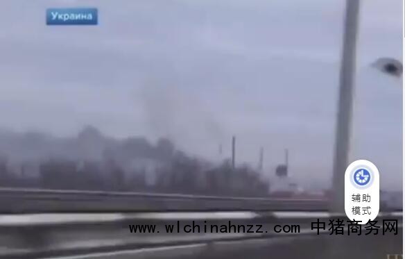 俄方公开军队进乌克兰城市现场视频