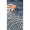 车库顶板防渗排水专用塑料排水板-20厚排水板价格