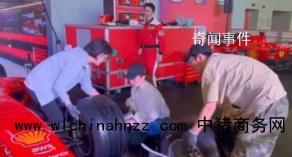 刘亦菲8秒给赛车换轮胎 网友：又酷又飒