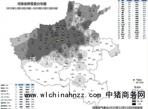 鹅毛大雪漫天飞!部分旅客列车停运