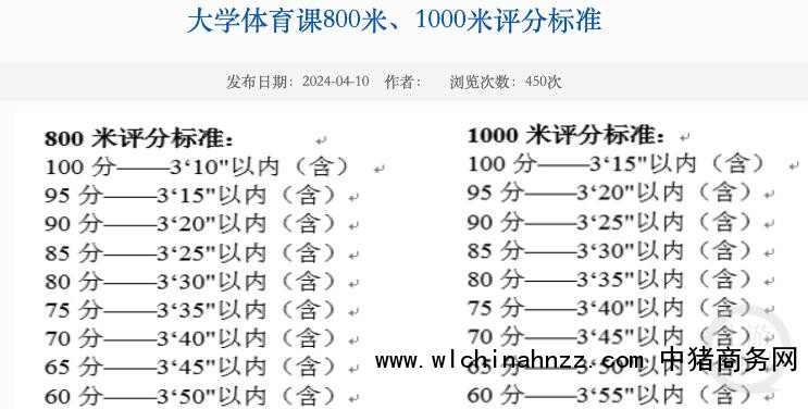 中央财经大学多名学生吐槽800米体测