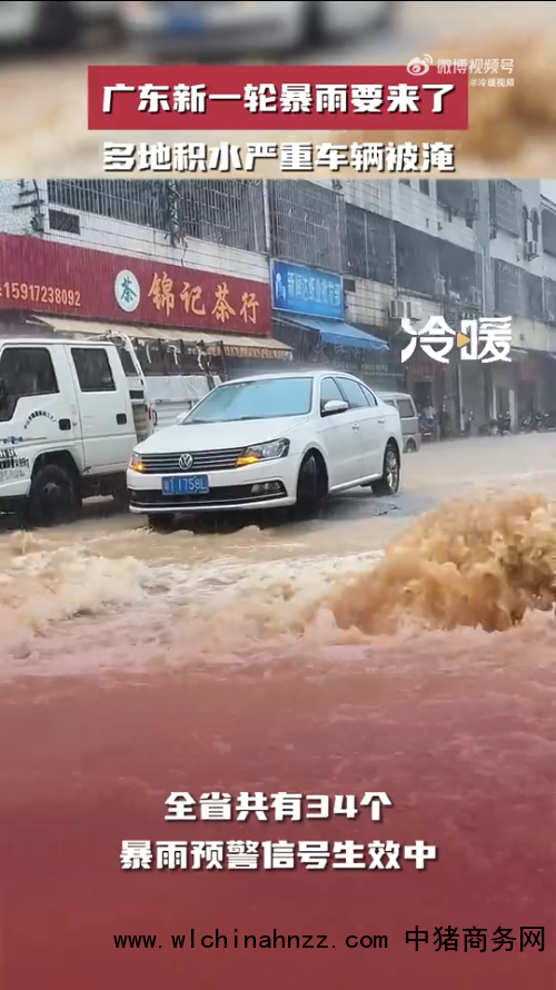 广东中山暴雨 车辆被淹积水齐腰深