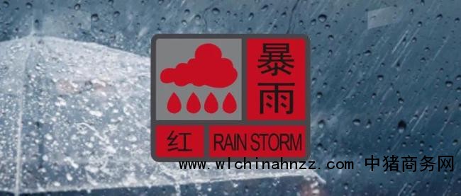 广东中山暴雨红色预警生效中 车辆被淹积水齐腰深