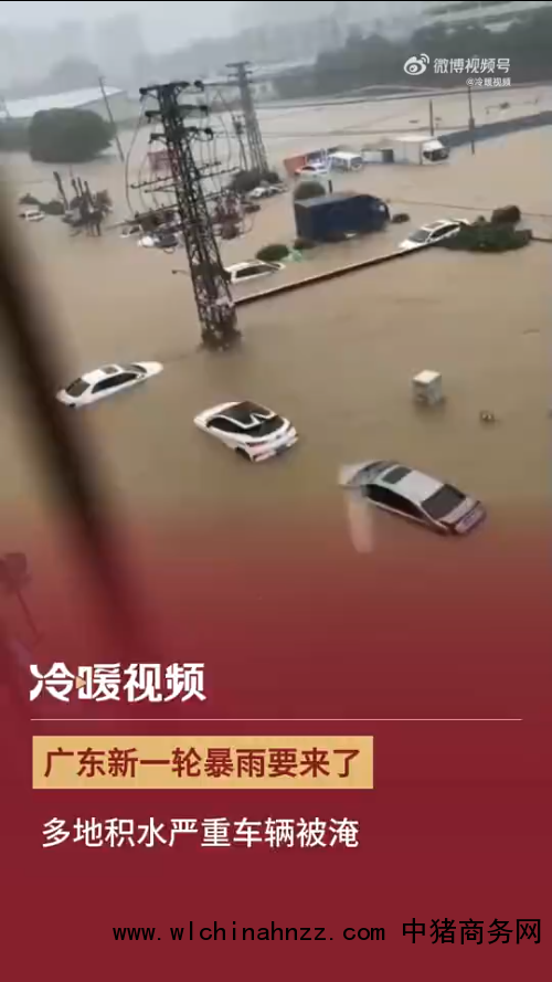 广东中山暴雨 车辆被淹积水齐腰深