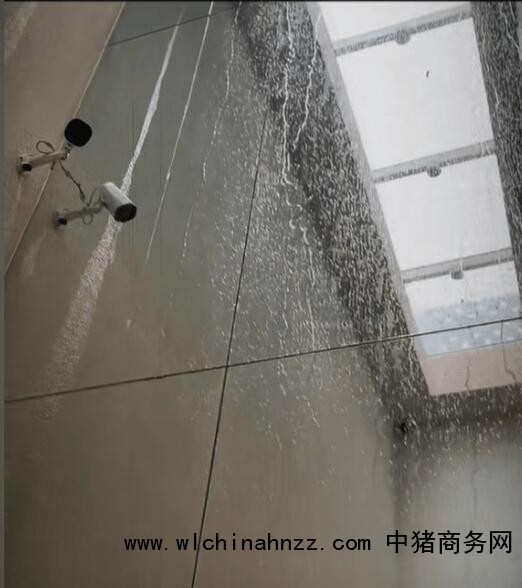 上海暴雨陈赫家里漏成水帘洞