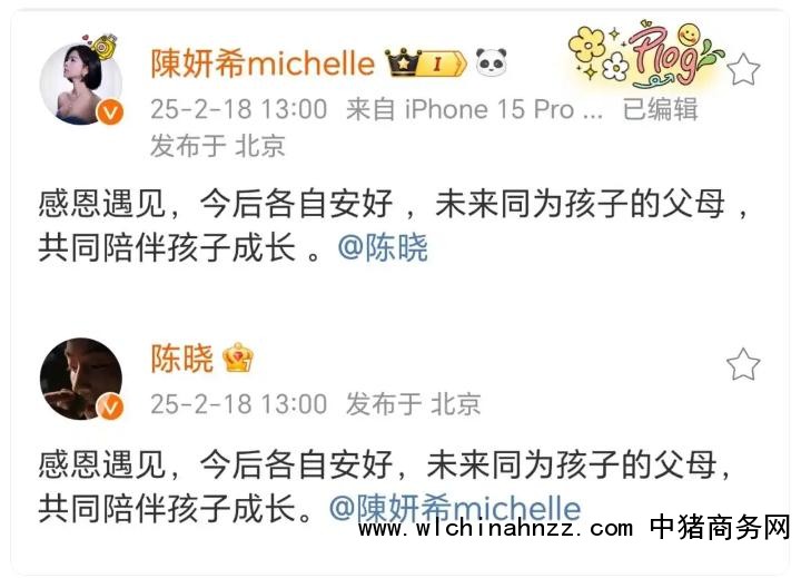 陈晓陈妍希官宣离婚